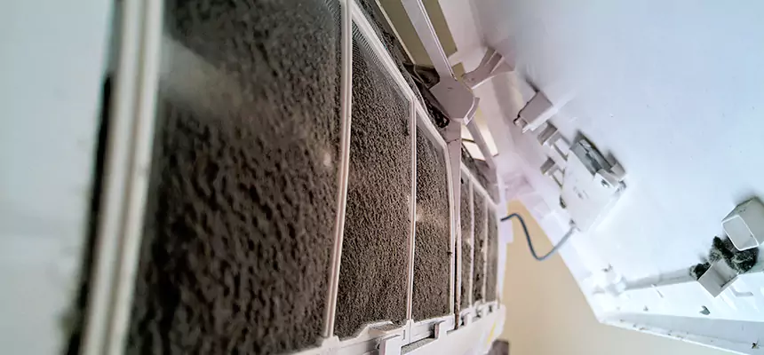 Preventive Air Duct Bacteria Removal in Memphis