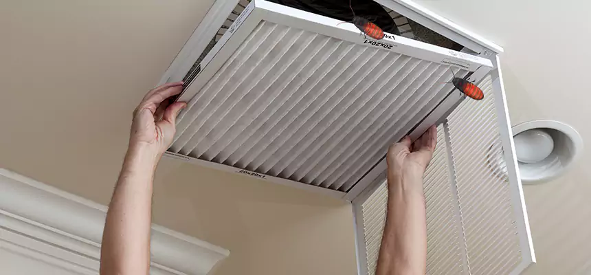 Preventive Cockroach-Proofing for Ducts in Memphis