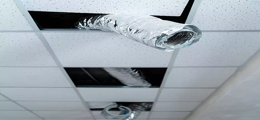 Affordable HVAC Sanitizing After Pest Removal in Memphis