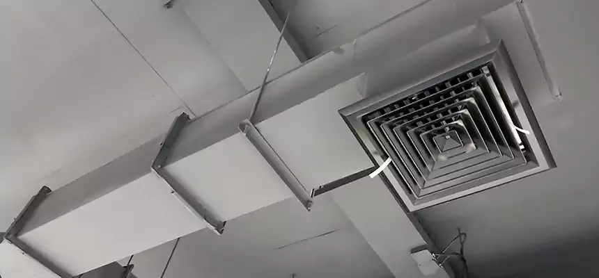 Our Rodent Droppings In Vents Services in Memphis, TN