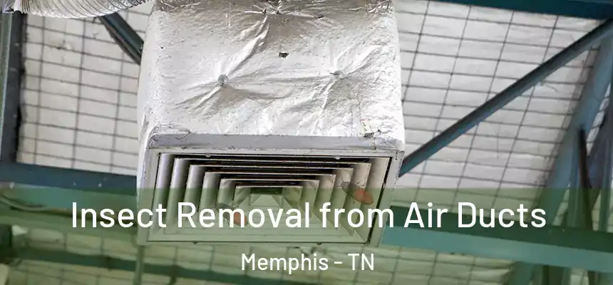 Insect Removal from Air Ducts Memphis - TN