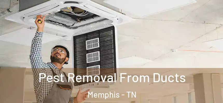 Pest Removal From Ducts Memphis - TN