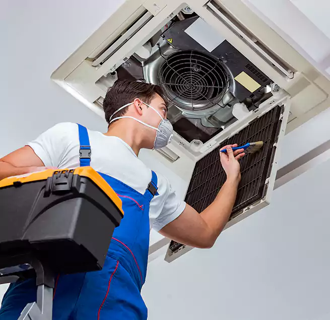 Why Homeowners & Businesses Trust Us in Memphis, TN