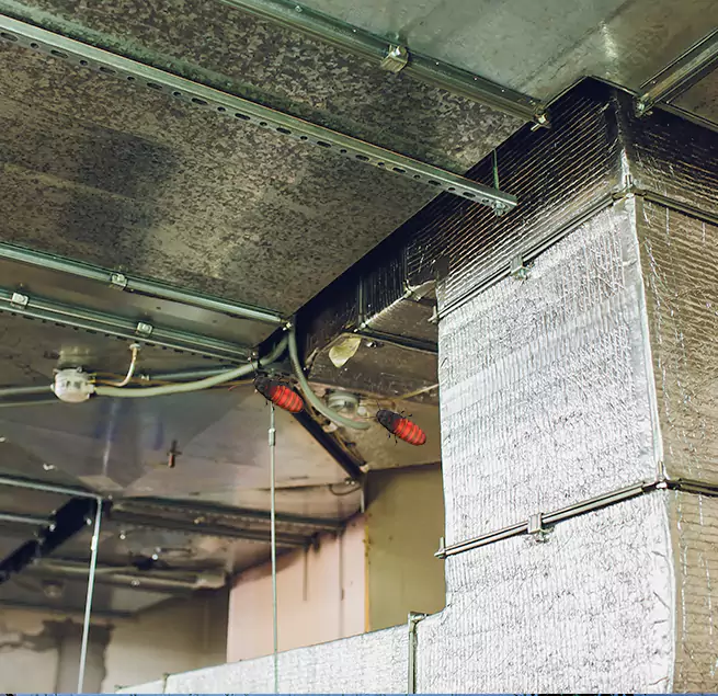 Why Homeowners & Businesses Trust Us Memphis, TN?