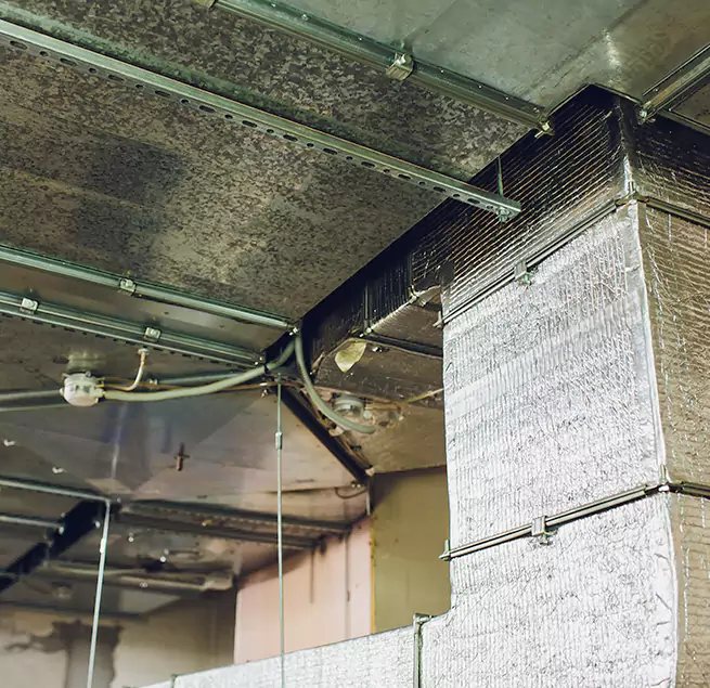 Why Homeowners & Businesses Trust Us in Memphis, TN?